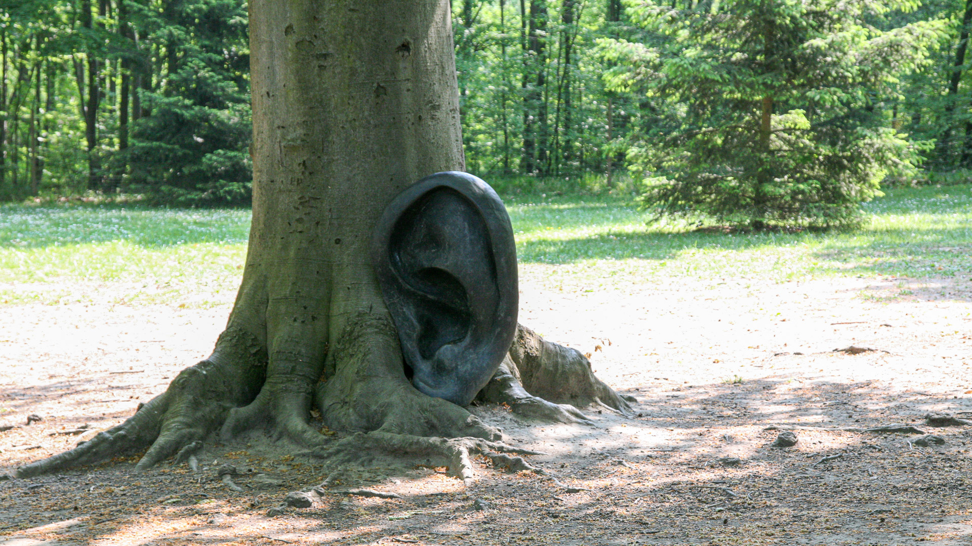 20070429101544 IMG 5367